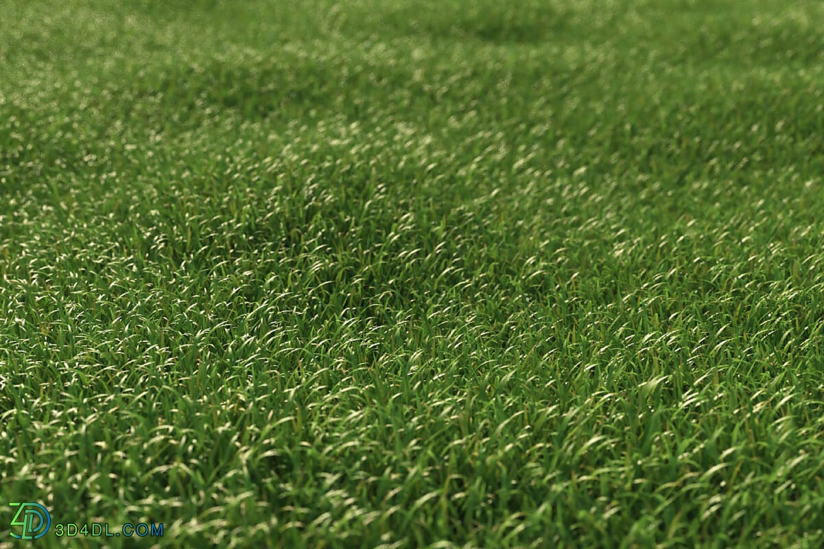 3dMentor HQGrass 01 scene lawn grass 1
