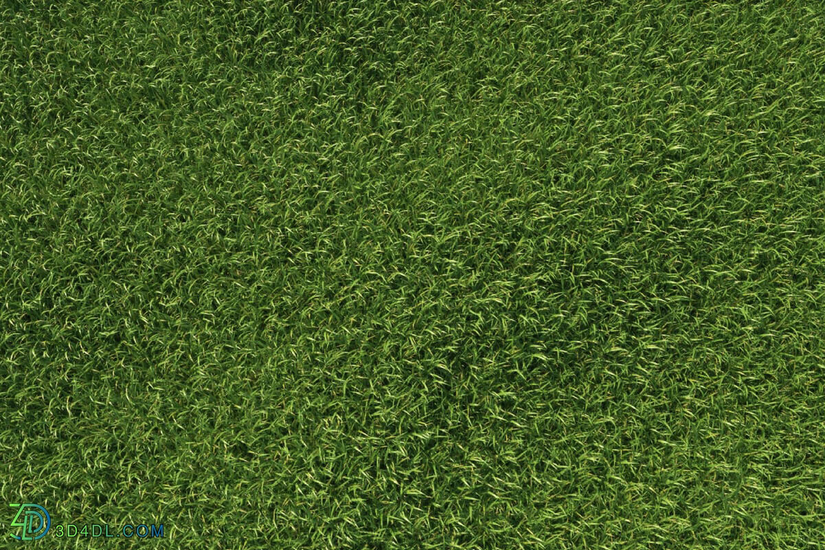 3dMentor HQGrass 01 scene lawn grass 1