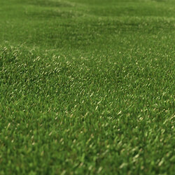 3dMentor HQGrass 01 scene lawn grass 2 