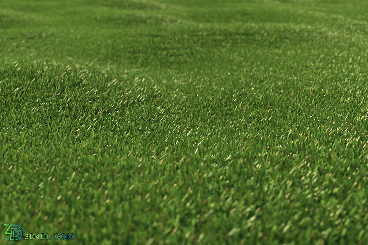 3dMentor HQGrass 01 scene lawn grass 2