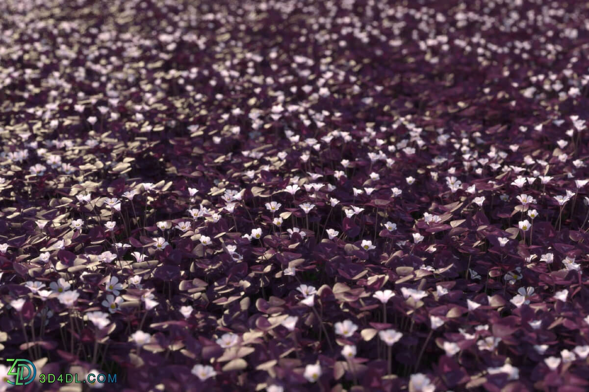 3dMentor HQGrass 01 scene oxalis 2