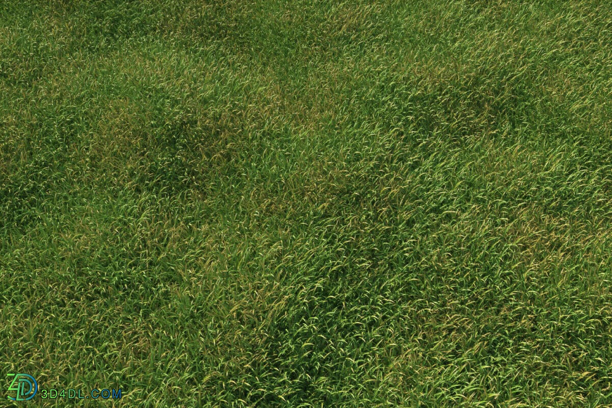 3dMentor_HQGrass-01_scene-wild-grass-1