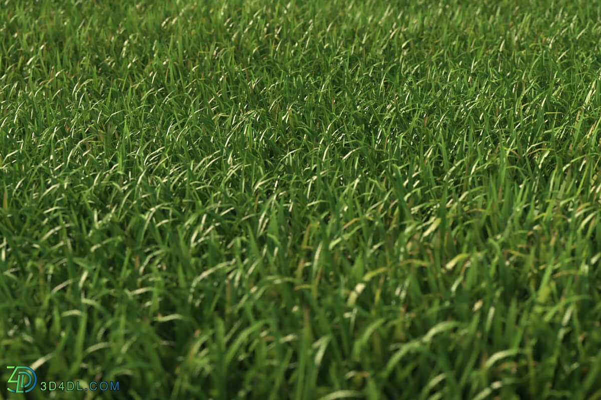 3dMentor HQGrass 01 scene wild grass 2