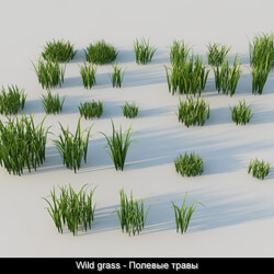3dMentor HQGrass 01 wild grass 01 