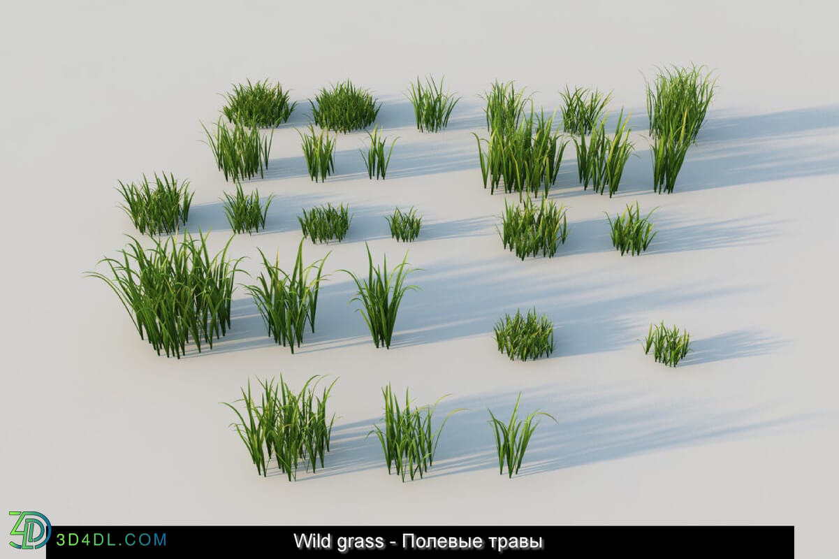 3dMentor HQGrass 01 wild grass 01
