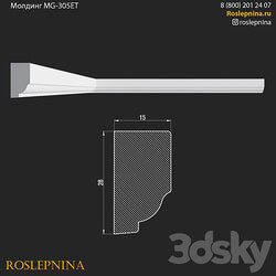 MG 305ET from RosLepnina 3D Models 