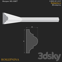 Molding MG 308ET from RosLepnina 3D Models 