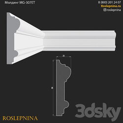 Molding MG 307ET from RosLepnina 3D Models 