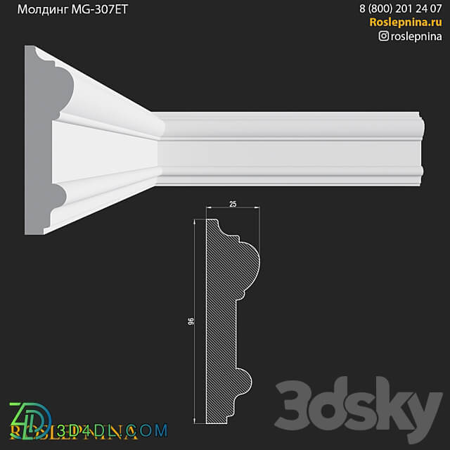 Molding MG 307ET from RosLepnina 3D Models