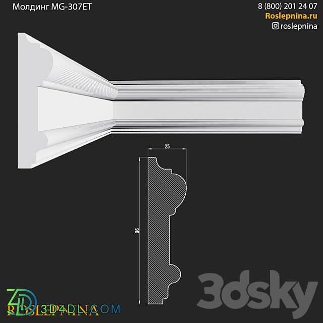 Molding MG 307ET from RosLepnina 3D Models