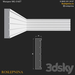 Molding MG 316ET from RosLepnina 3D Models 