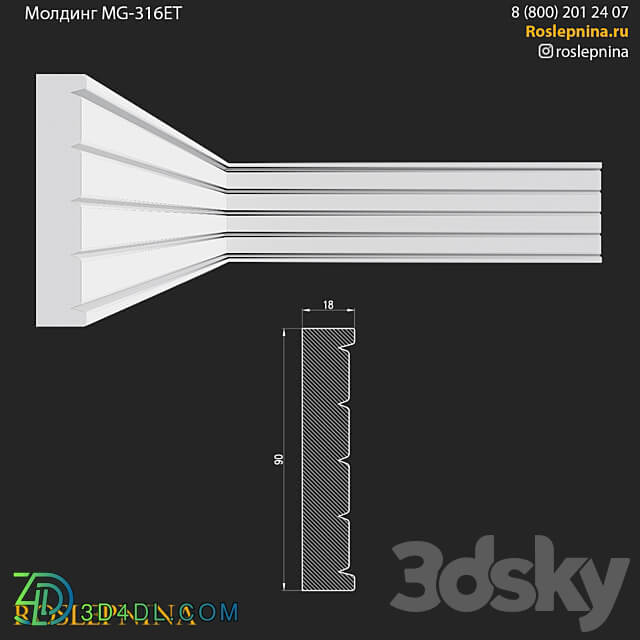 Molding MG 316ET from RosLepnina 3D Models