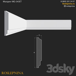 Molding MG 343ET from RosLepnina 3D Models 