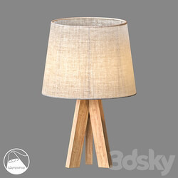 LampsShop.com NL5004 Table Lamp INS WIND 3D Models 