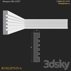 Molding MG 370ET from RosLepnina 3D Models 