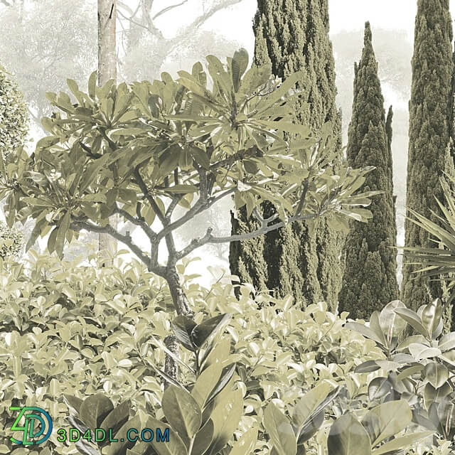 Creativille wallpapers 4980 Botanical Garden 3D Models