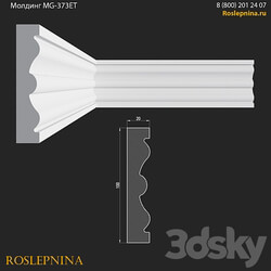 Molding MG 373ET from RosLepnina 3D Models 