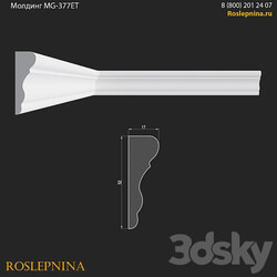 Molding MG 377ET from RosLepnina 3D Models 