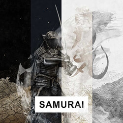 SAMURAI 3D Models 