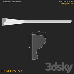 Molding MG 401ET from RosLepnina 3D Models 