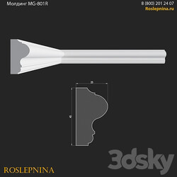 Molding MG 801R from RosLepnina 3D Models 