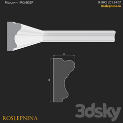 Molding MG 802P from RosLepnina 3D Models 