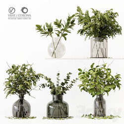 Collection Indoor Plants 020 3D Models 
