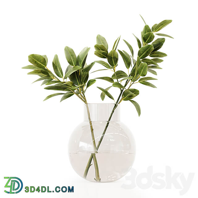 Collection Indoor Plants 020 3D Models