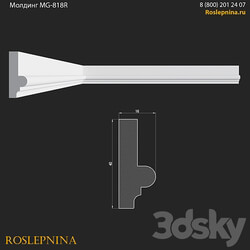 Molding MG 818R from RosLepnina 3D Models 