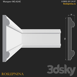 Molding MG 824E from RosLepnina 3D Models 