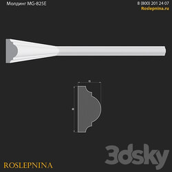 Molding MG 825E from RosLepnina 3D Models 