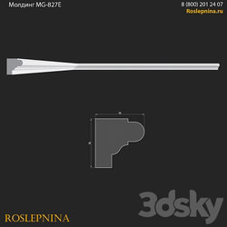 Molding MG 827E from RosLepnina 3D Models 