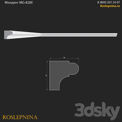 Molding MG 828E from RosLepnina 3D Models 