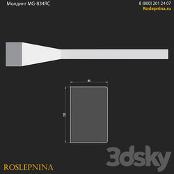 Molding MG 834RC from RosLepnina 3D Models 