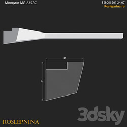 Molding MG 835RC from RosLepnina 3D Models 