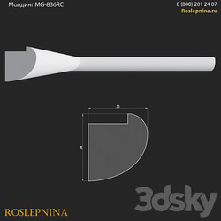 Molding MG 836RC from RosLepnina 3D Models 