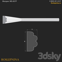 Molding MG 837P from RosLepnina 3D Models 