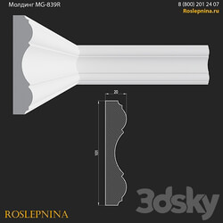 Molding MG 839R from RosLepnina 3D Models 