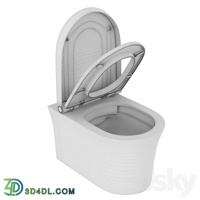 OM Duravit White Tulip HygieneFlush Wall Mounted Toilet 257609 3D Models