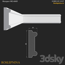Molding MG 840R from RosLepnina 3D Models 