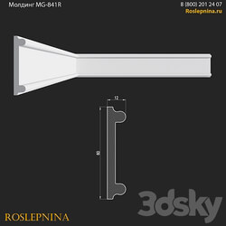 Molding MG 841R from RosLepnina 3D Models 