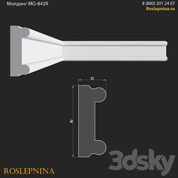 Molding MG 842R from RosLepnina 3D Models 