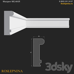 Molding MG 843R from RosLepnina 3D Models 