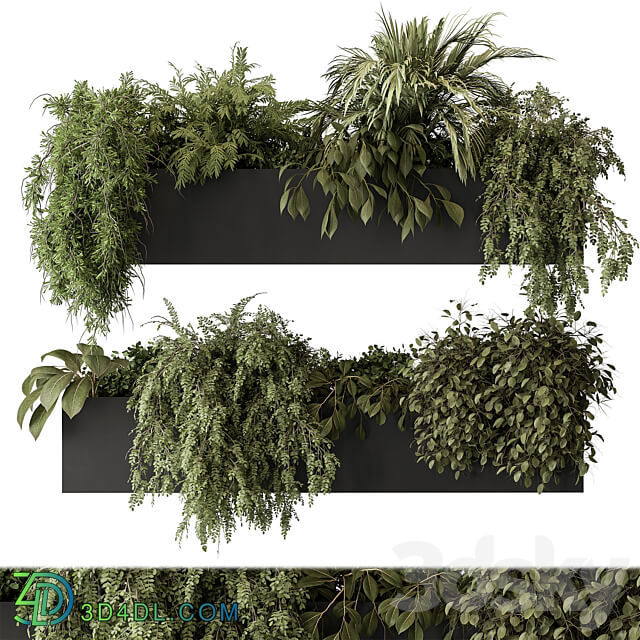indoor Plant Set 297 Hanging Plants 3D Models