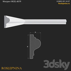 Molding MGEL 807R from RosLepnina 3D Models 