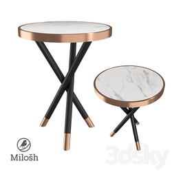 Coffee table MILOSH TENDENCE 701038 3D Models 