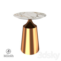 COFFEE TABLE MILOSH TENDENCE 701033 3D Models 