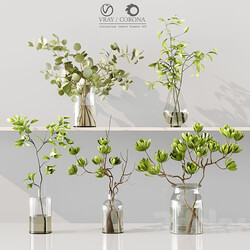 Collaction Indoor Plants 025 3D Models 