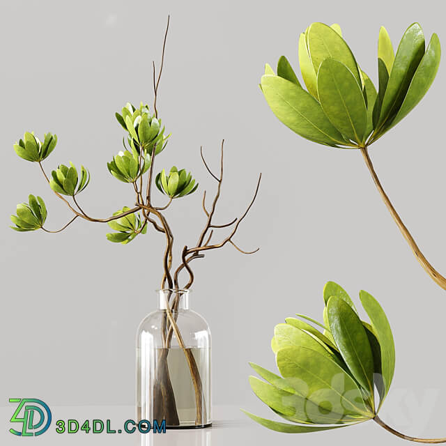 Collaction Indoor Plants 025 3D Models