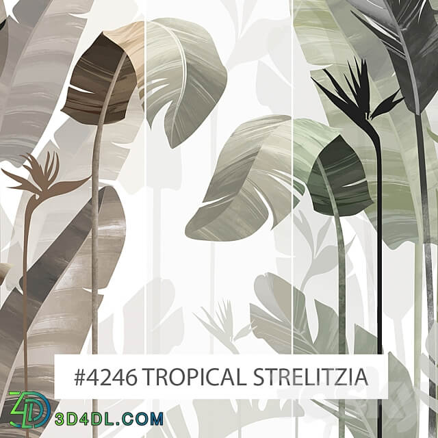 Creativille wallpapers 4246 Tropical Strelitzia 3D Models